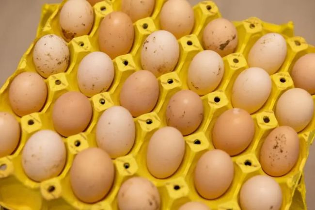 鸡蛋上最脏的东西你可能吃了 需要警惕的沙门氏菌_新闻频道_中华网